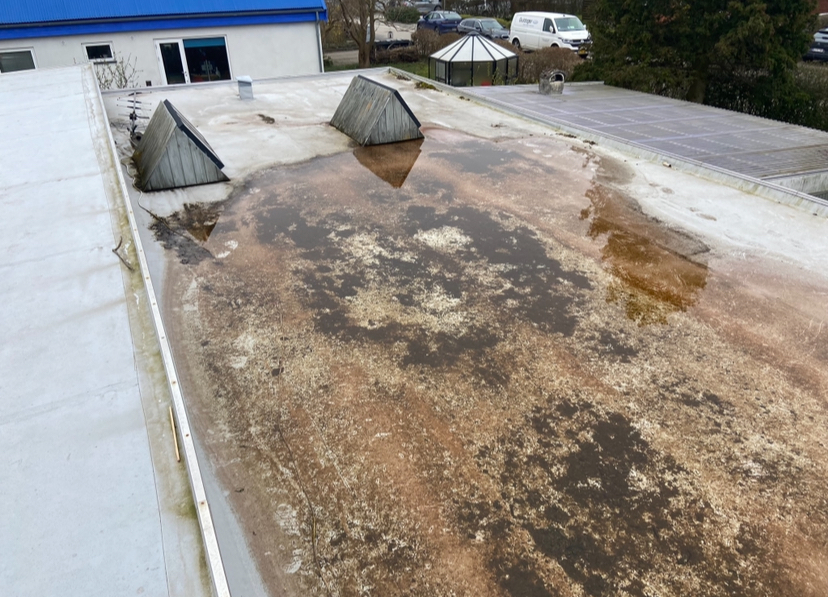 Rådgivning vedrørende tagudskiftning